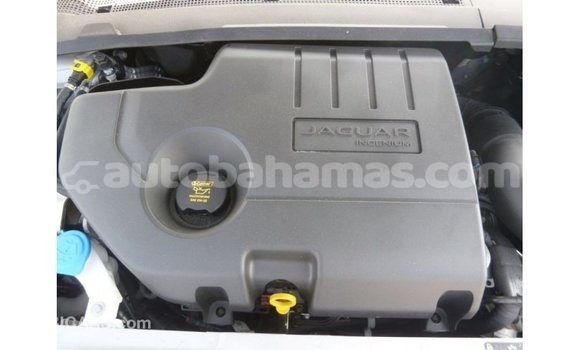 Buy Import Jaguar E-Pace White Car in Import - Dubai in Abaco Buy Import Jaguar E-Pace White Car in Import - Dubai in Abaco