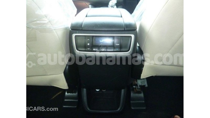 Big with watermark 6b2aa71e 9d41 4ea2 9468 7ab8aa05961d