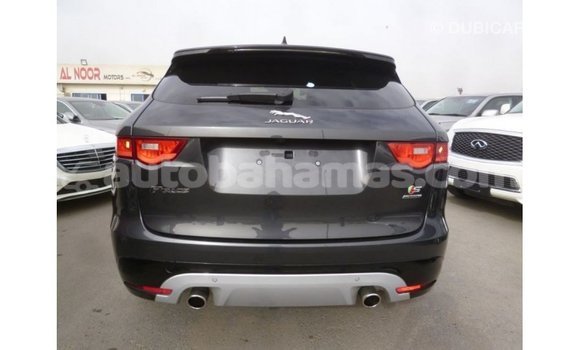 Buy Import Jaguar F-Pace Black Car in Import - Dubai in Abaco Buy Import Jaguar F-Pace Black Car in Import - Dubai in Abaco