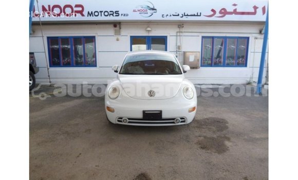 Buy Import Volkswagen Beetle White Car in Import - Dubai in Abaco Buy Import Volkswagen Beetle White Car in Import - Dubai in Abaco