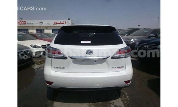 Buy Import Lexus RX White Car in Import - Dubai in Abaco Buy Import Lexus RX White Car in Import - Dubai in Abaco