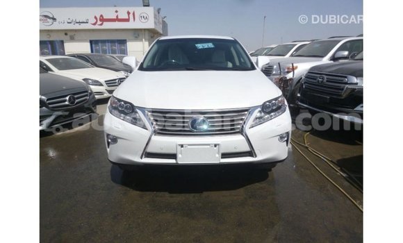 Buy Import Lexus RX White Car in Import - Dubai in Abaco Buy Import Lexus RX White Car in Import - Dubai in Abaco