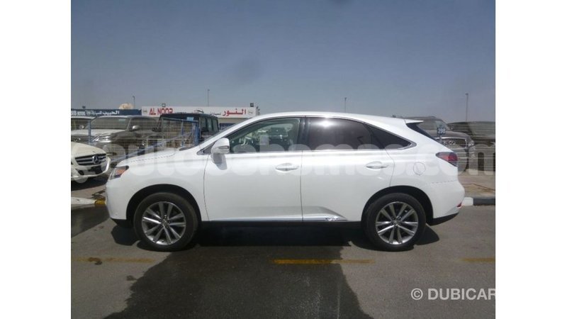 Big with watermark dbd4d55c fd2c 4859 8f39 75681bc6aa0e