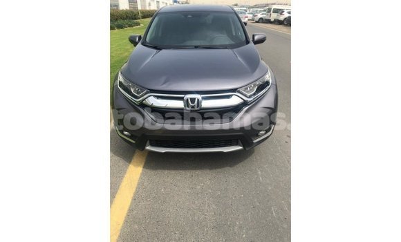 Buy Import Honda C Other Bike in Import - Dubai in Abaco Buy Import Honda C Other Bike in Import - Dubai in Abaco