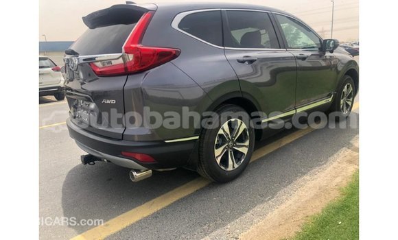 Buy Import Honda C Other Bike in Import - Dubai in Abaco Buy Import Honda C Other Bike in Import - Dubai in Abaco