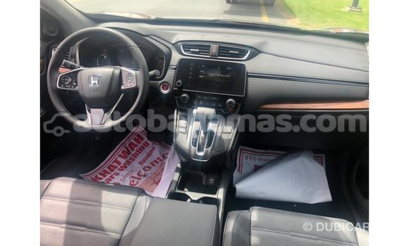 Buy Import Honda C Other Bike in Import - Dubai in Abaco Buy Import Honda C Other Bike in Import - Dubai in Abaco