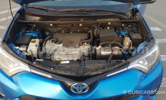 Buy Import Toyota HiAce Blue Truck in Import - Dubai in Abaco Buy Import Toyota HiAce Blue Truck in Import - Dubai in Abaco