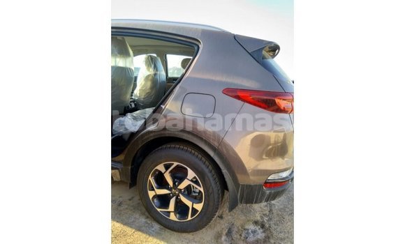 Buy Import Kia Sportage Brown Car in Import - Dubai in Abaco Buy Import Kia Sportage Brown Car in Import - Dubai in Abaco