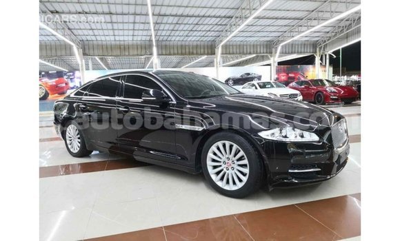 Buy Import Jaguar XJ Black Car in Import - Dubai in Abaco Buy Import Jaguar XJ Black Car in Import - Dubai in Abaco