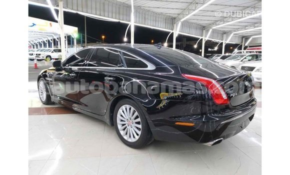 Buy Import Jaguar XJ Black Car in Import - Dubai in Abaco Buy Import Jaguar XJ Black Car in Import - Dubai in Abaco