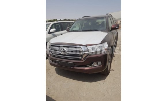 Buy Import Toyota Land Cruiser Brown Car in Import - Dubai in Abaco Buy Import Toyota Land Cruiser Brown Car in Import - Dubai in Abaco