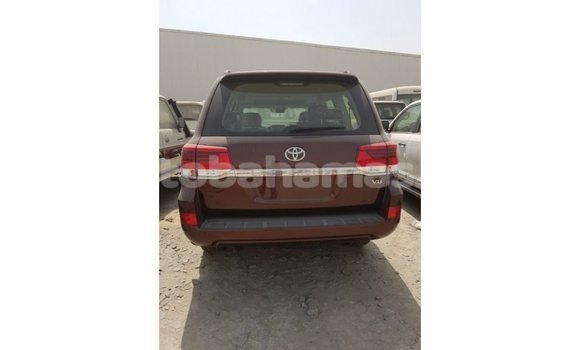 Buy Import Toyota Land Cruiser Brown Car in Import - Dubai in Abaco Buy Import Toyota Land Cruiser Brown Car in Import - Dubai in Abaco