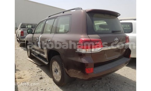 Buy Import Toyota Land Cruiser Brown Car in Import - Dubai in Abaco Buy Import Toyota Land Cruiser Brown Car in Import - Dubai in Abaco