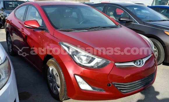 Buy Import Hyundai Elantra Red Car in Import - Dubai in Abaco Buy Import Hyundai Elantra Red Car in Import - Dubai in Abaco