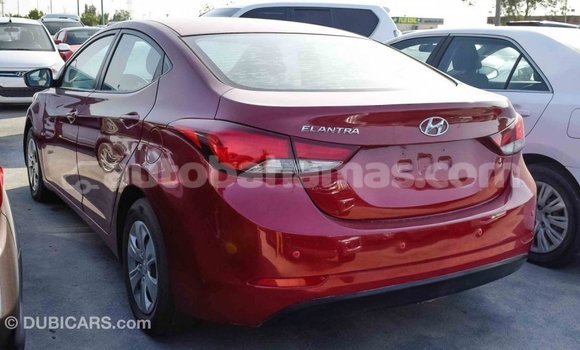 Buy Import Hyundai Elantra Red Car in Import - Dubai in Abaco Buy Import Hyundai Elantra Red Car in Import - Dubai in Abaco