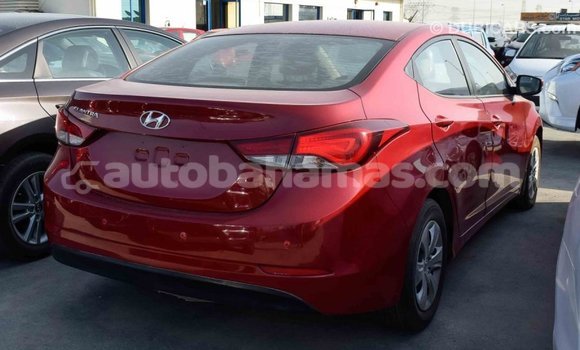 Buy Import Hyundai Elantra Red Car in Import - Dubai in Abaco Buy Import Hyundai Elantra Red Car in Import - Dubai in Abaco