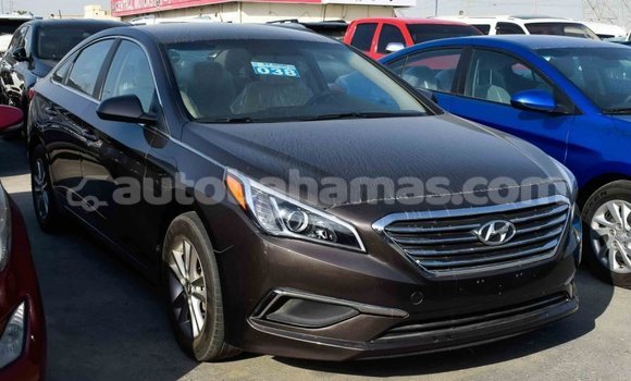 Buy Import Hyundai Sonata Brown Car in Import - Dubai in Abaco Buy Import Hyundai Sonata Brown Car in Import - Dubai in Abaco