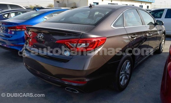 Buy Import Hyundai Sonata Brown Car in Import - Dubai in Abaco Buy Import Hyundai Sonata Brown Car in Import - Dubai in Abaco