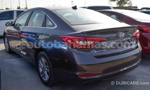 Buy Import Hyundai Sonata Brown Car in Import - Dubai in Abaco Buy Import Hyundai Sonata Brown Car in Import - Dubai in Abaco