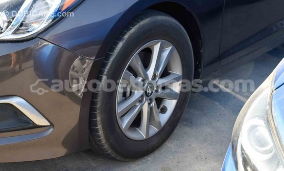 Buy Import Hyundai Sonata Brown Car in Import - Dubai in Abaco Buy Import Hyundai Sonata Brown Car in Import - Dubai in Abaco