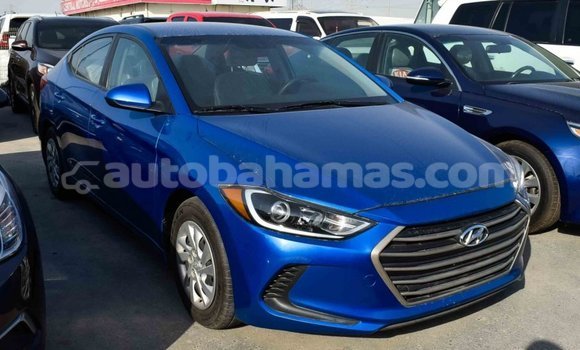 Buy Import Hyundai Elantra Blue Car in Import - Dubai in Abaco Buy Import Hyundai Elantra Blue Car in Import - Dubai in Abaco