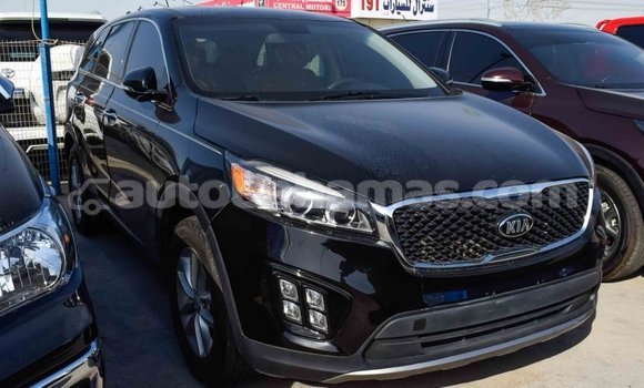 Buy Import Kia Sorento Black Car in Import - Dubai in Abaco Buy Import Kia Sorento Black Car in Import - Dubai in Abaco