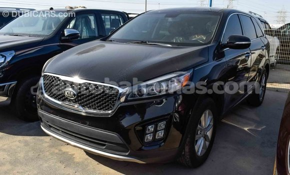 Buy Import Kia Sorento Black Car in Import - Dubai in Abaco Buy Import Kia Sorento Black Car in Import - Dubai in Abaco