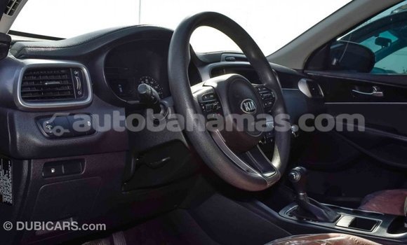 Buy Import Kia Sorento Black Car in Import - Dubai in Abaco Buy Import Kia Sorento Black Car in Import - Dubai in Abaco