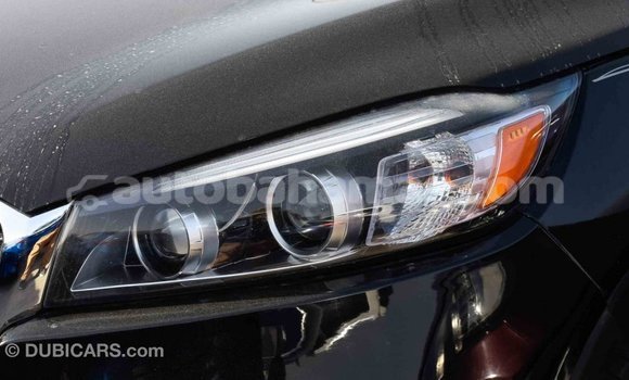 Buy Import Kia Sorento Black Car in Import - Dubai in Abaco Buy Import Kia Sorento Black Car in Import - Dubai in Abaco