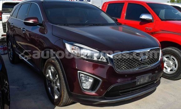 Buy Import Kia Sorento Brown Car in Import - Dubai in Abaco Buy Import Kia Sorento Brown Car in Import - Dubai in Abaco