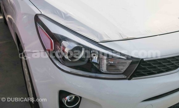 Buy Import Kia Rio White Car in Import - Dubai in Abaco Buy Import Kia Rio White Car in Import - Dubai in Abaco