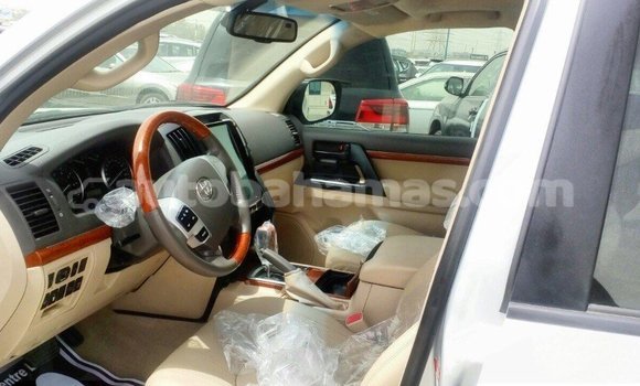 Buy Import Toyota Land Cruiser Other Car in Import - Dubai in Abaco Buy Import Toyota Land Cruiser Other Car in Import - Dubai in Abaco