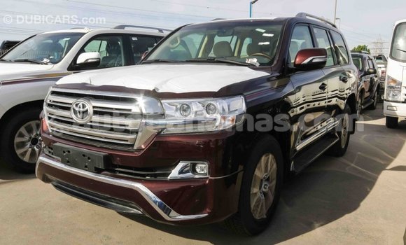 Buy Import Toyota Land Cruiser Other Car in Import - Dubai in Abaco Buy Import Toyota Land Cruiser Other Car in Import - Dubai in Abaco