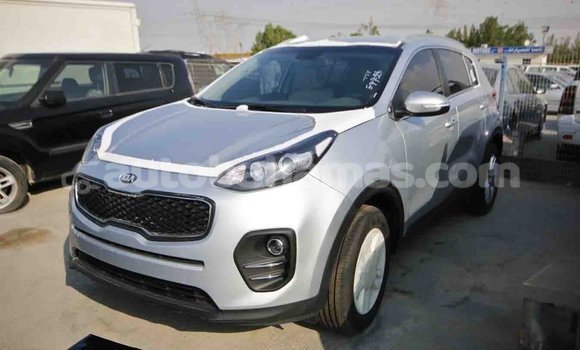 Buy Import Kia Sportage Other Car in Import - Dubai in Abaco Buy Import Kia Sportage Other Car in Import - Dubai in Abaco