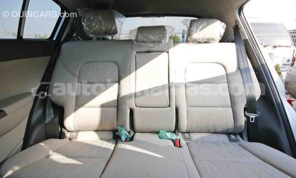 Buy Import Kia Sportage Other Car in Import - Dubai in Abaco Buy Import Kia Sportage Other Car in Import - Dubai in Abaco