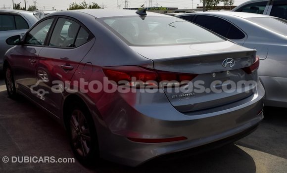 Buy Import Hyundai Elantra Other Car in Import - Dubai in Abaco Buy Import Hyundai Elantra Other Car in Import - Dubai in Abaco