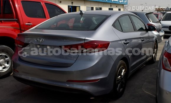 Buy Import Hyundai Elantra Other Car in Import - Dubai in Abaco Buy Import Hyundai Elantra Other Car in Import - Dubai in Abaco