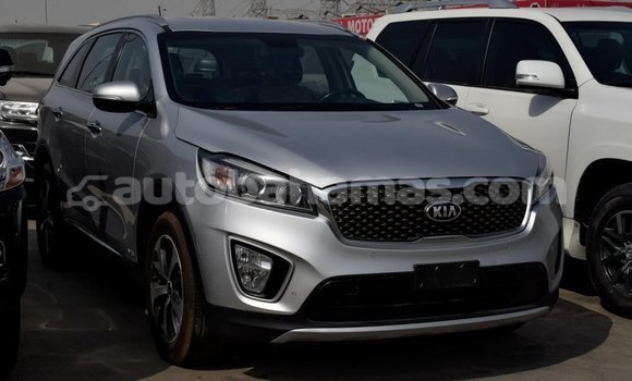 Buy Import Kia Sorento Other Car in Import - Dubai in Abaco Buy Import Kia Sorento Other Car in Import - Dubai in Abaco