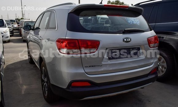 Buy Import Kia Sorento Other Car in Import - Dubai in Abaco Buy Import Kia Sorento Other Car in Import - Dubai in Abaco