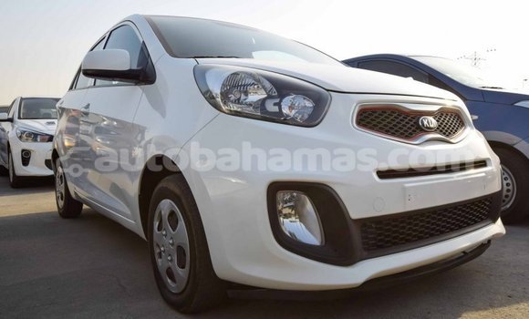 Buy Import Kia Picanto White Car in Import - Dubai in Abaco Buy Import Kia Picanto White Car in Import - Dubai in Abaco