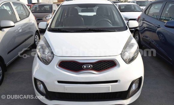 Buy Import Kia Picanto White Car in Import - Dubai in Abaco Buy Import Kia Picanto White Car in Import - Dubai in Abaco