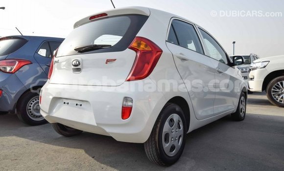 Buy Import Kia Picanto White Car in Import - Dubai in Abaco Buy Import Kia Picanto White Car in Import - Dubai in Abaco