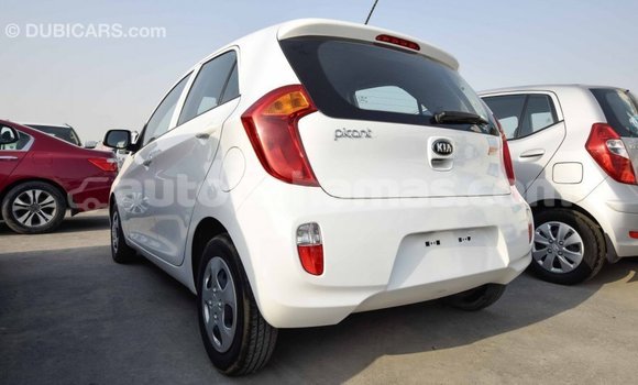 Buy Import Kia Picanto White Car in Import - Dubai in Abaco Buy Import Kia Picanto White Car in Import - Dubai in Abaco