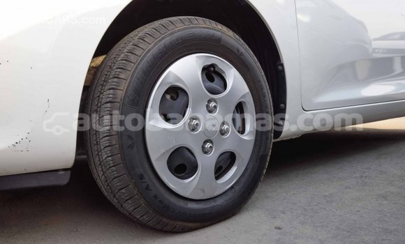 Buy Import Kia Picanto White Car in Import - Dubai in Abaco Buy Import Kia Picanto White Car in Import - Dubai in Abaco