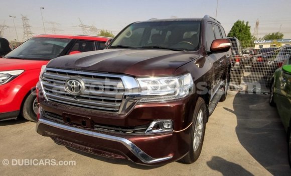 Buy Import Toyota Land Cruiser Brown Car in Import - Dubai in Abaco Buy Import Toyota Land Cruiser Brown Car in Import - Dubai in Abaco