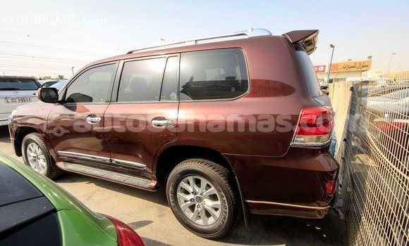 Buy Import Toyota Land Cruiser Brown Car in Import - Dubai in Abaco Buy Import Toyota Land Cruiser Brown Car in Import - Dubai in Abaco