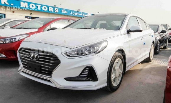 Buy Import Hyundai Sonata White Car in Import - Dubai in Abaco Buy Import Hyundai Sonata White Car in Import - Dubai in Abaco