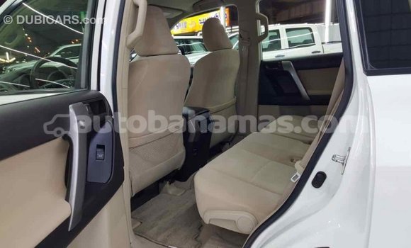 Buy Import Toyota Prado White Car in Import - Dubai in Abaco Buy Import Toyota Prado White Car in Import - Dubai in Abaco