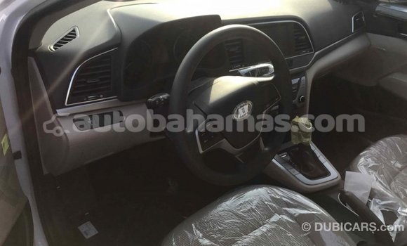 Buy Import Hyundai Elantra White Car in Import - Dubai in Abaco Buy Import Hyundai Elantra White Car in Import - Dubai in Abaco