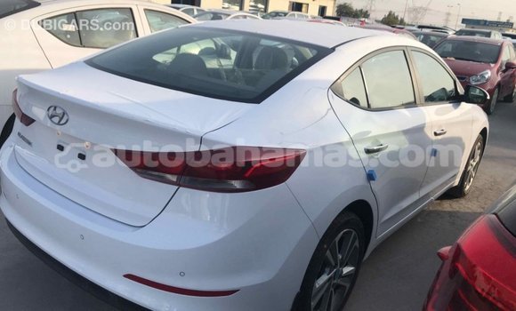 Buy Import Hyundai Elantra White Car in Import - Dubai in Abaco Buy Import Hyundai Elantra White Car in Import - Dubai in Abaco